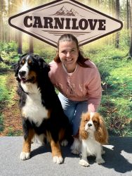 Bernský salašnický pes