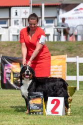 Bernský salašnický pes