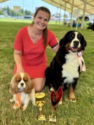 Bernský salašnický pes