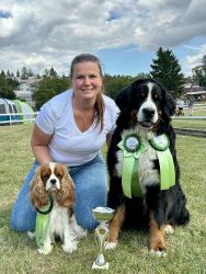 Bernský salašnický pes