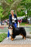 Bernský salašnický pes Erik Bohemia Hagrid