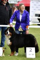 Bernský salašnický pes Erik Bohemia Hagrid