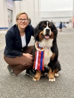 Bernský salašnický pes Erik Bohemia Hagrid